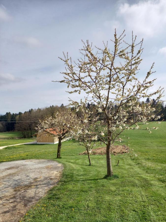 Ferienwohnung Am Dreiseithof Hauzenberg Exteriör bild